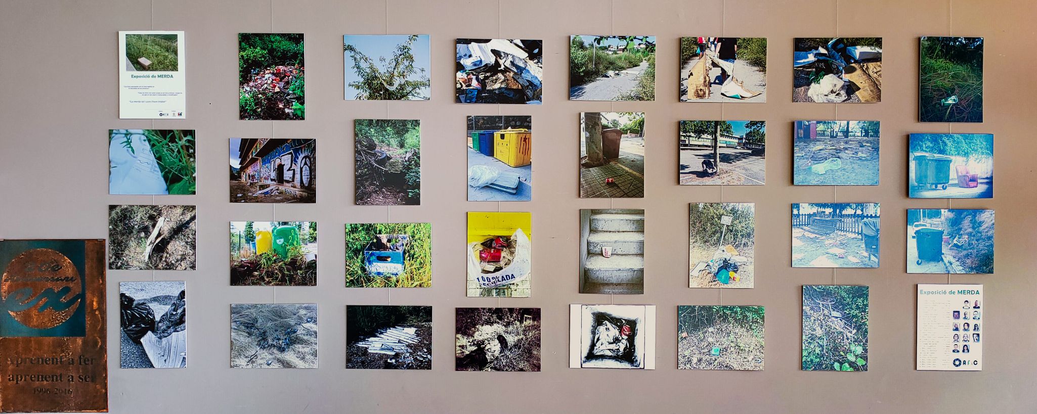 Exposició de merda al Institut